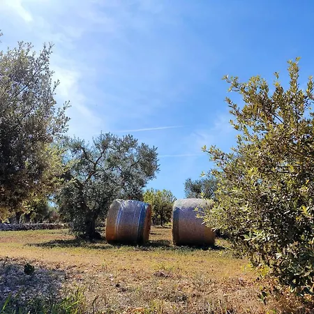 Volta - Il Trullo *